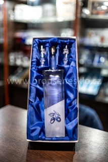Lahev fg 0,5L Švestka